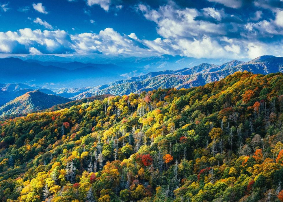 3 Great National Parks for Fall Hiking